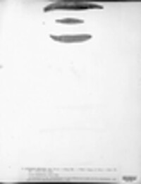 Puccinia pulverulenta image
